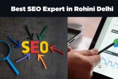 best SEO Expert in Rohini Delhi